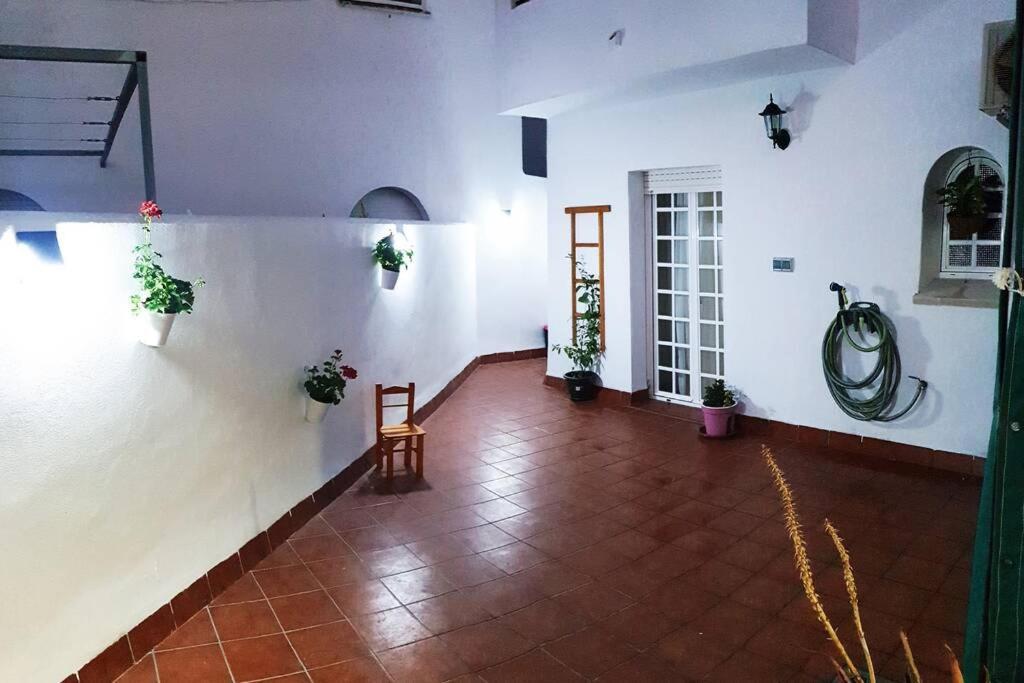 Apartamento Piso Aurora *